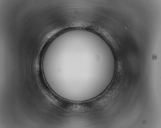 X0000098110632200804041345