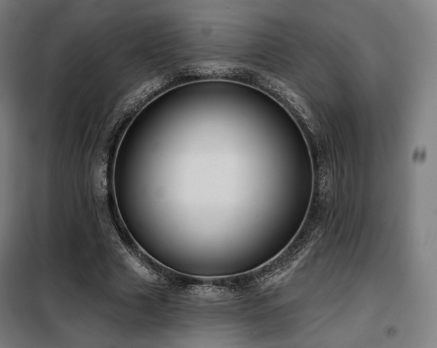 X0000098110633200804041345