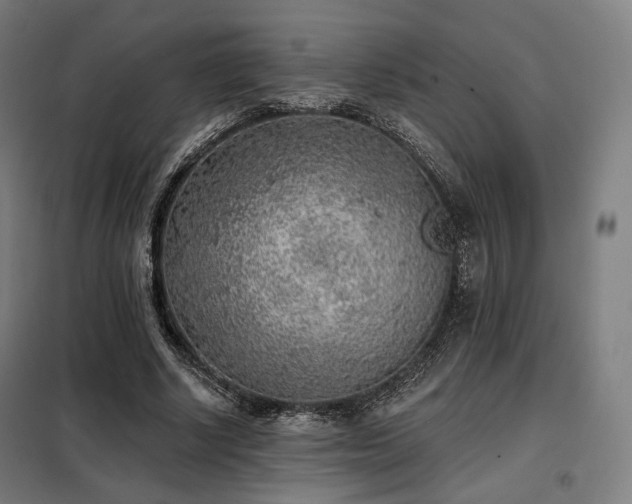 X0000098110634200804041345