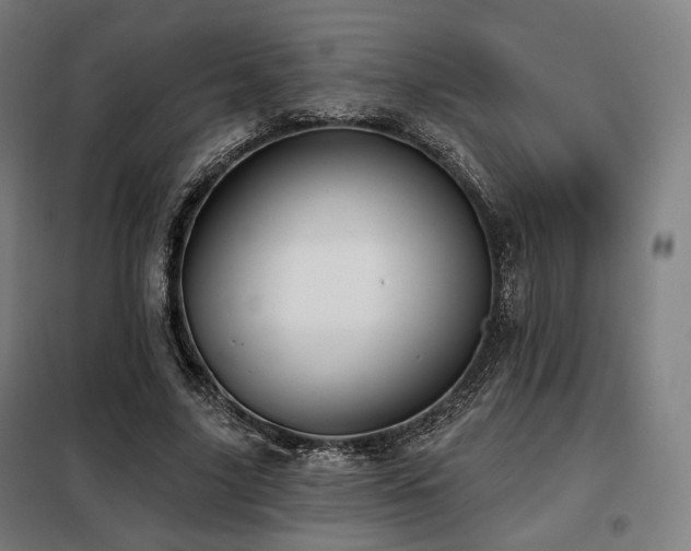 X0000098110635200804041345