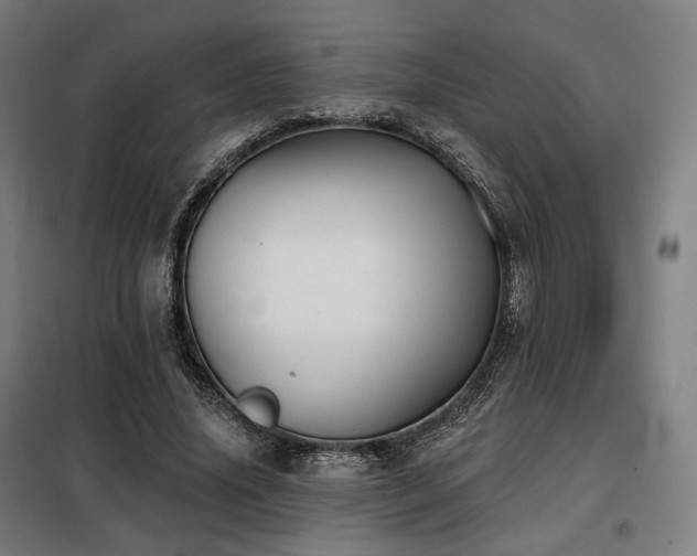 X0000098110636200804041345