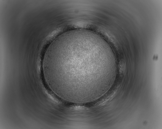 X0000098110637200804041345