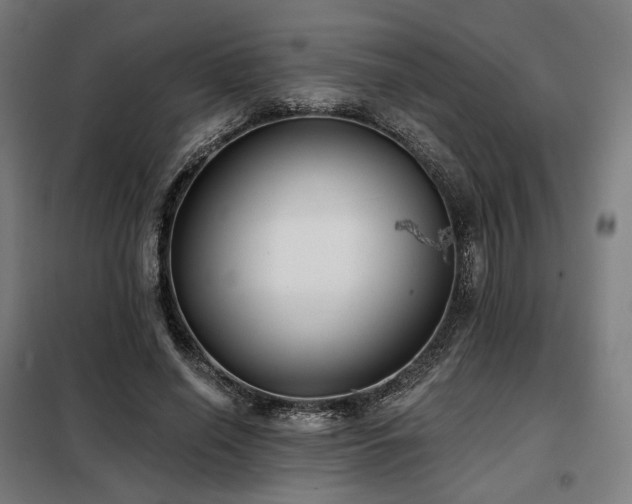 X0000098110638200804041345