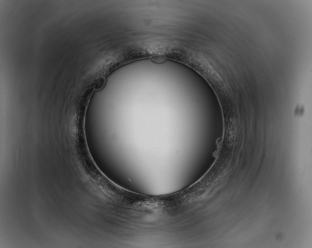 X0000098110639200804041345