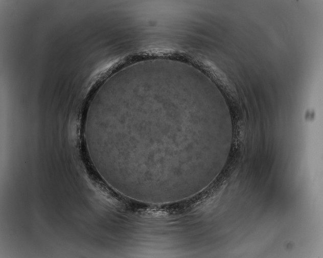 X0000098110640200804041345
