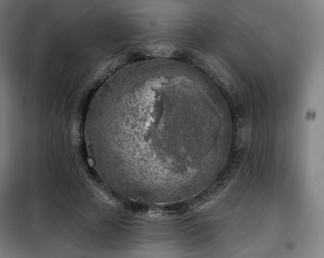 X0000098110641200804041345