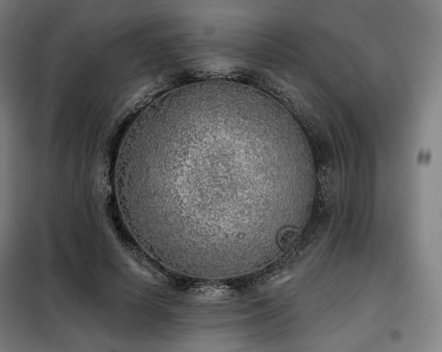 X0000098110642200804041345