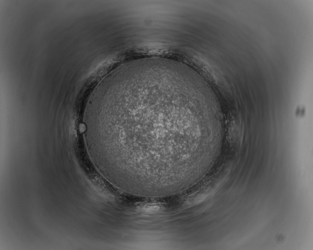X0000098110643200804041345
