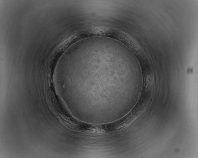 X0000098110644200804041345