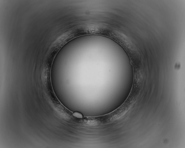 X0000098110645200804041345
