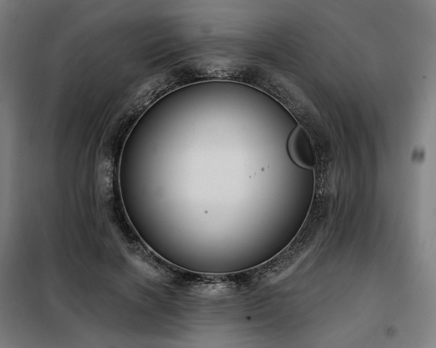 X0000098110646200804041345