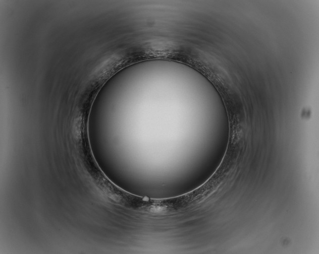 X0000098110647200804041345