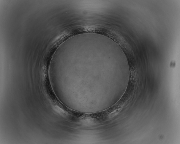X0000098110648200804041345