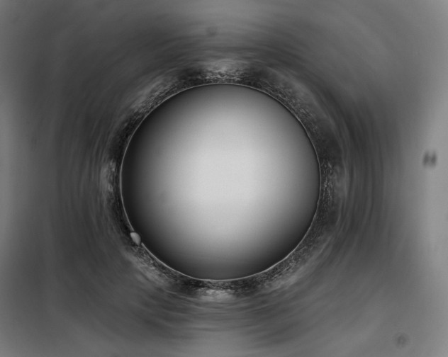X0000098110649200804041345