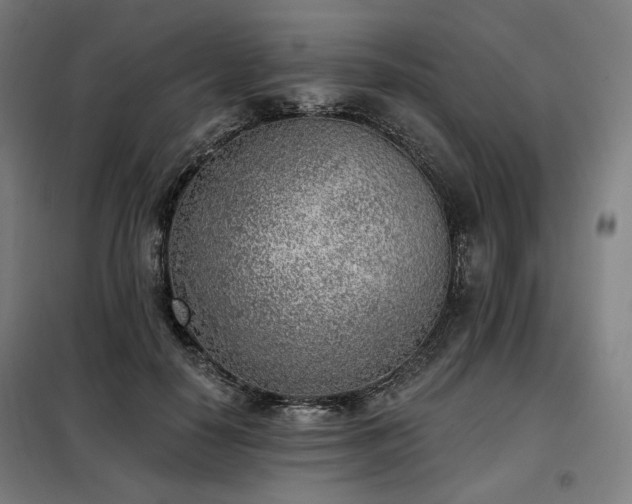 X0000098110650200804041345