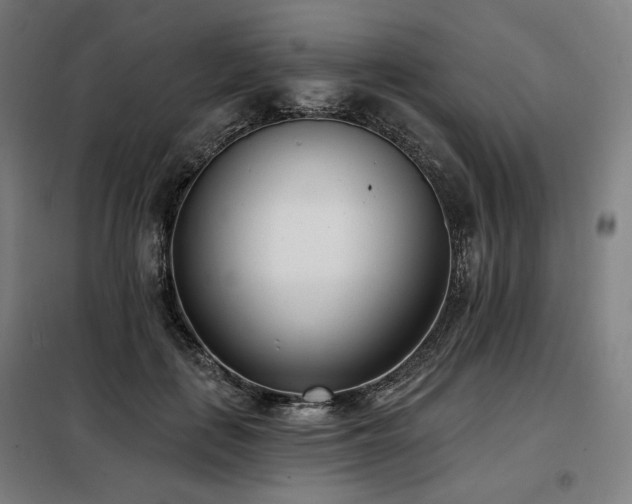 X0000098110651200804041345