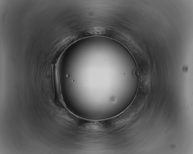 X0000098110652200804041345