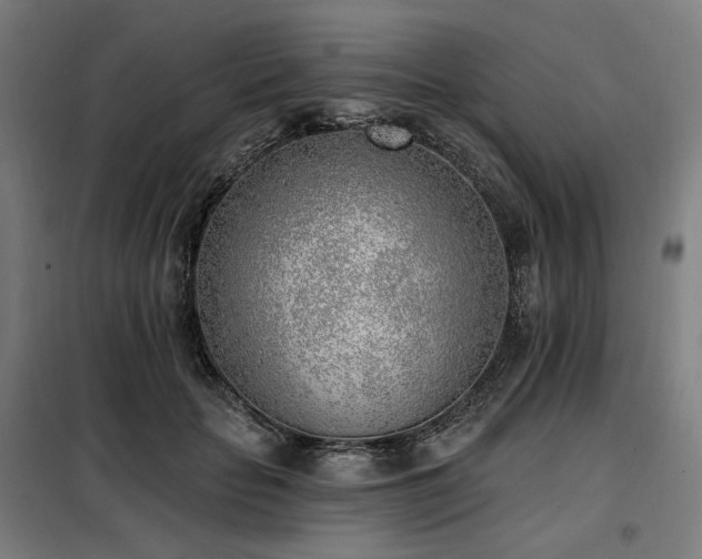 X0000098110653200804041345