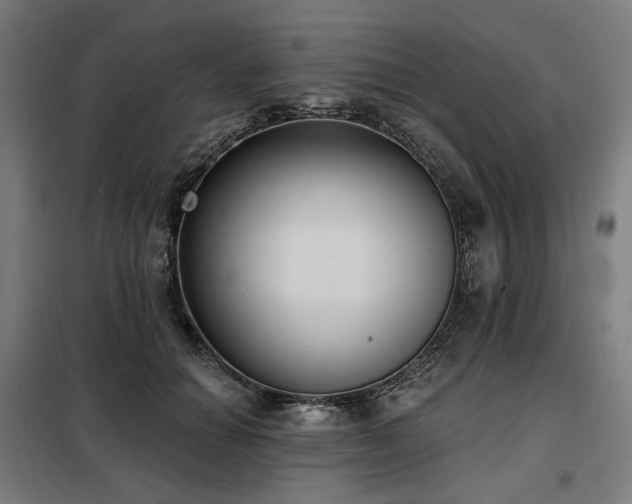 X0000098110654200804041345