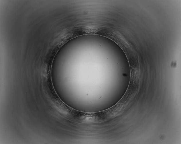 X0000098110655200804041345