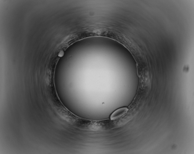X0000098110656200804041345