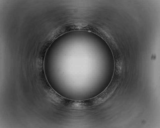 X0000098110657200804041345