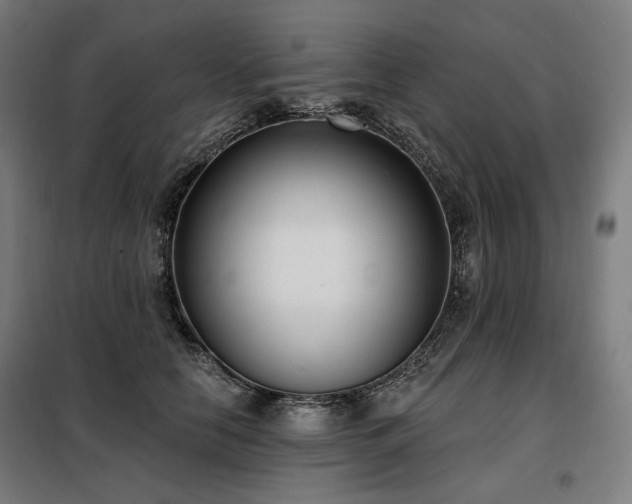 X0000098110658200804041345