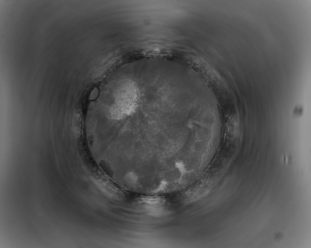 X0000098110659200804041345