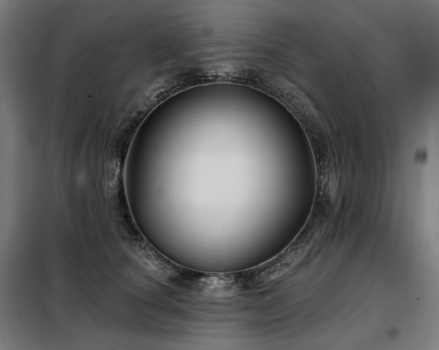 X0000098110660200804041345