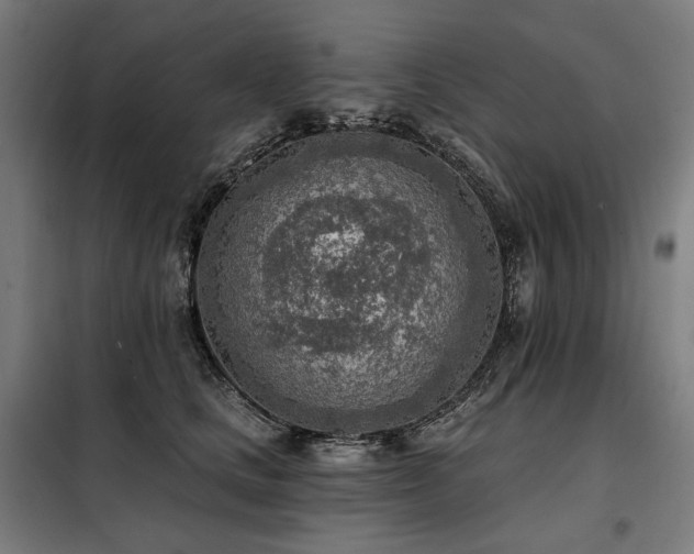 X0000098110661200804041345