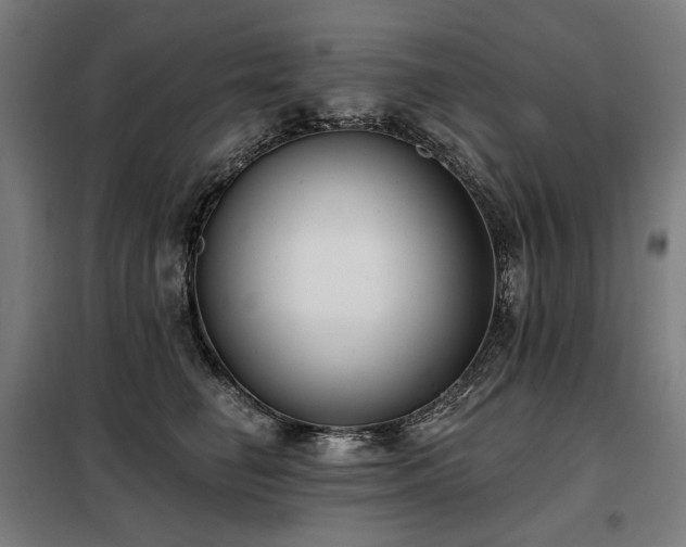 X0000098110662200804041345