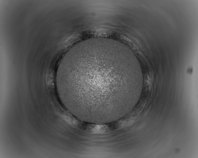 X0000098110663200804041345