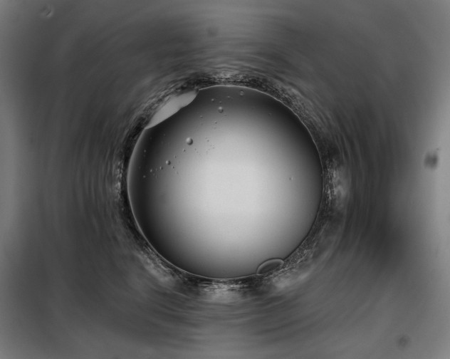 X0000098110664200804041345