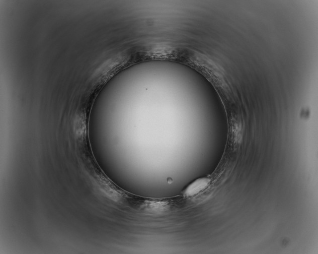 X0000098110665200804041345