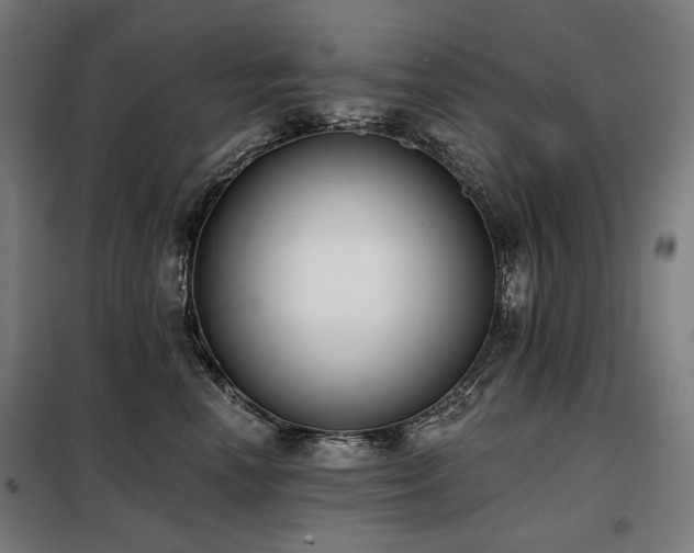 X0000098110666200804041345