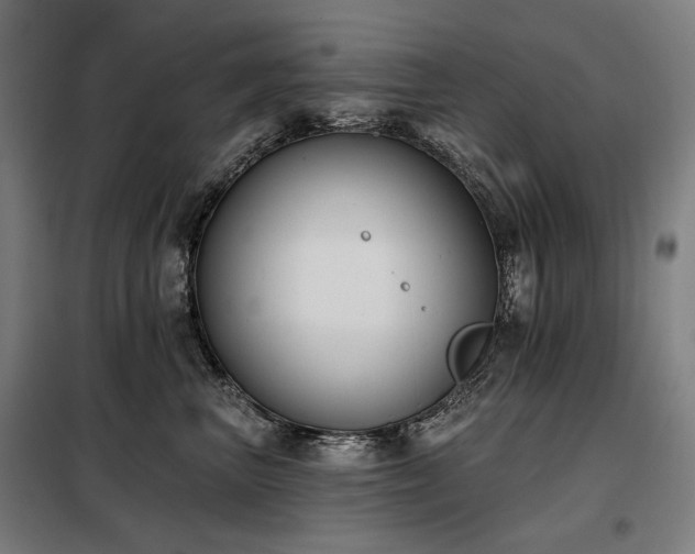 X0000098110667200804041345