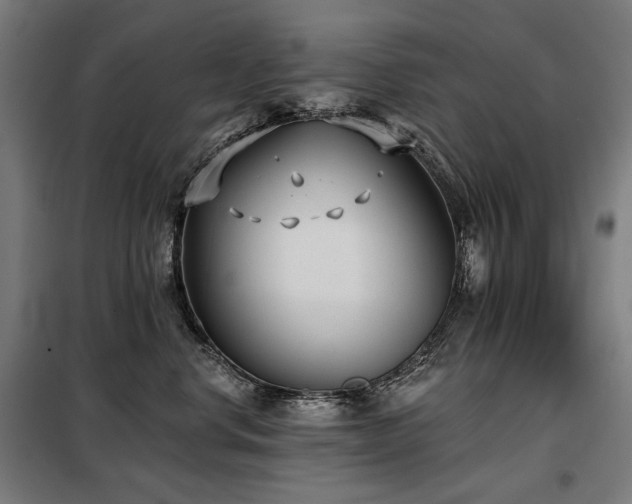 X0000098110668200804041345