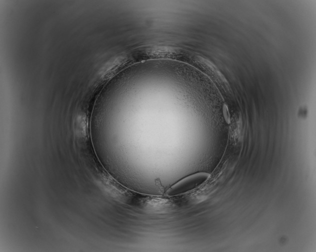 X0000098110669200804041345