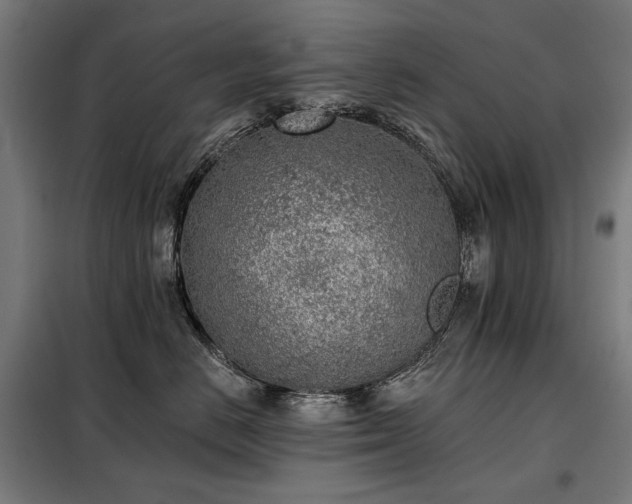 X0000098110670200804041345