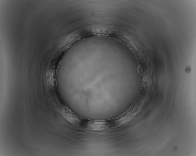 X0000098110671200804041345