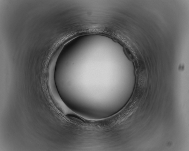 X0000098110673200804041344