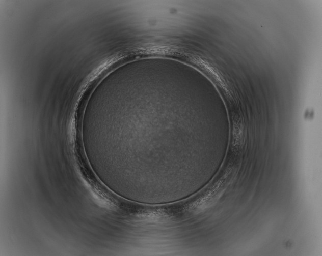 X0000098110674200804041344