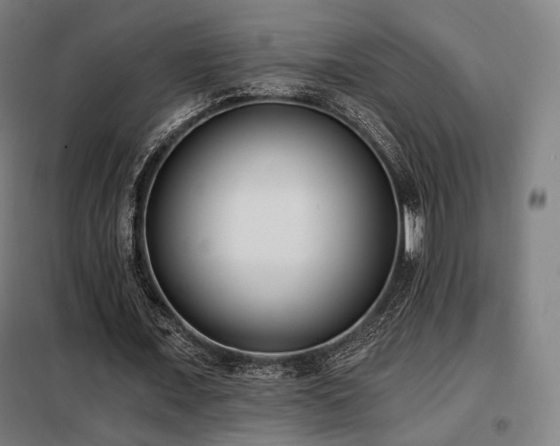X0000098110675200804041344