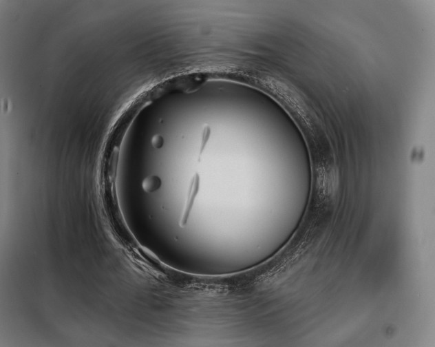 X0000098110676200804041344