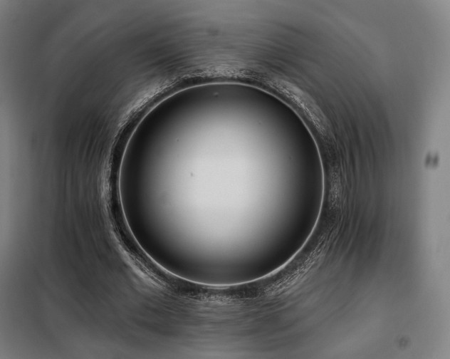 X0000098110677200804041344