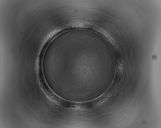 X0000098110678200804041344