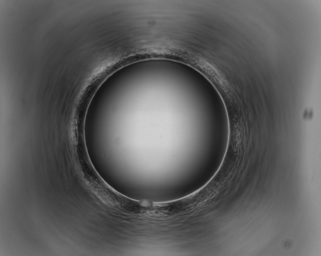 X0000098110680200804041344