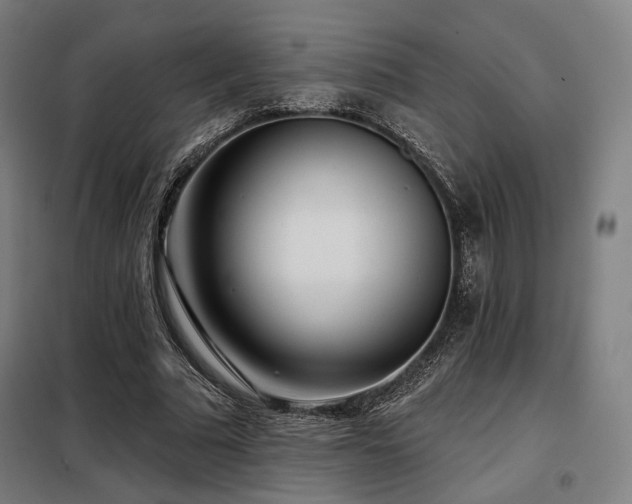 X0000098110681200804041344