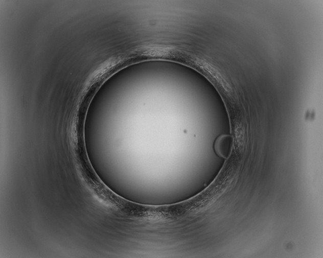 X0000098110682200804041344