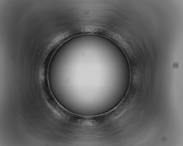 X0000098110683200804041344
